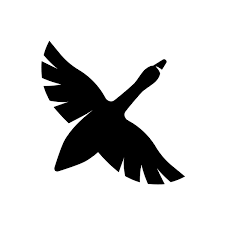 Goose